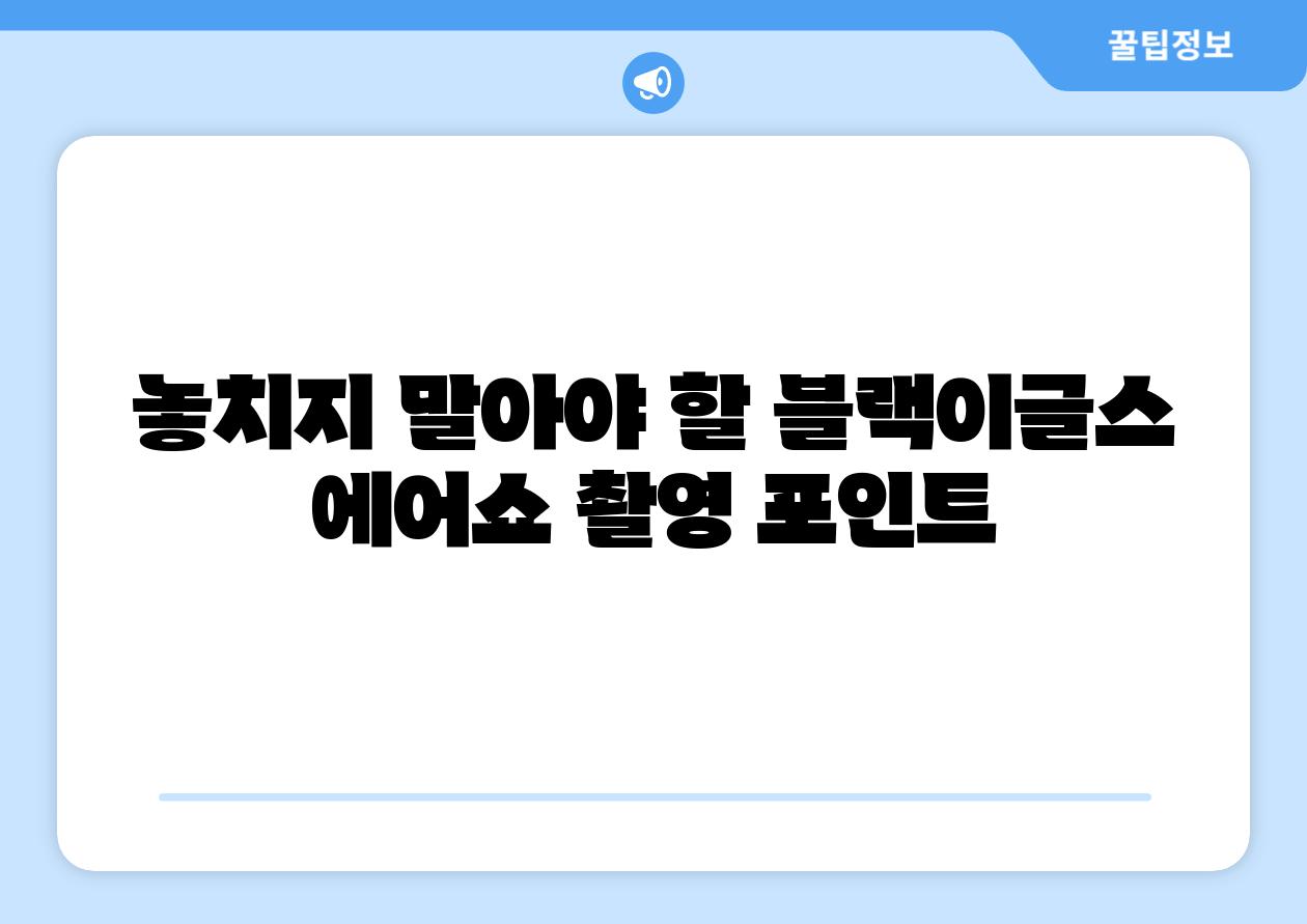 놓치지 말아야 할 블랙이글스 에어쇼 촬영 포인트