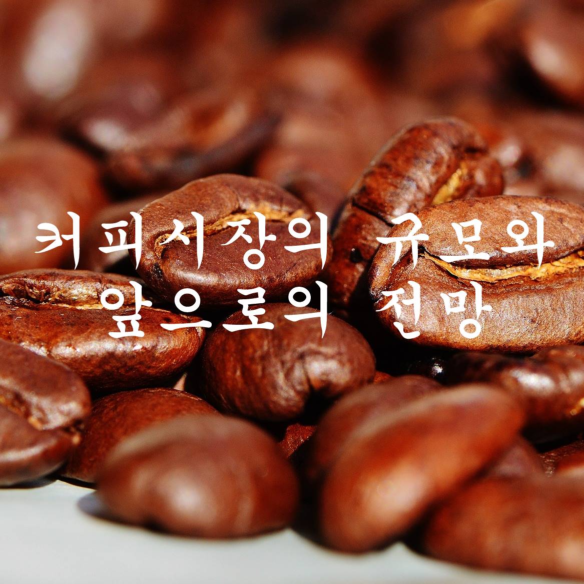  커피시장의 규모와 트렌드