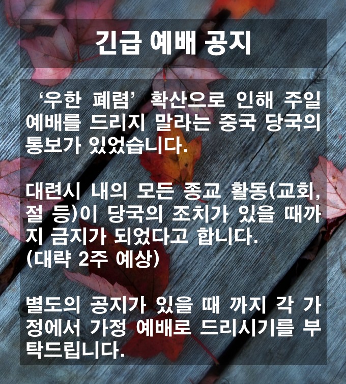  월드워 C / 우한 폐렴