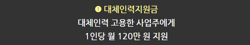 대체인력지원금