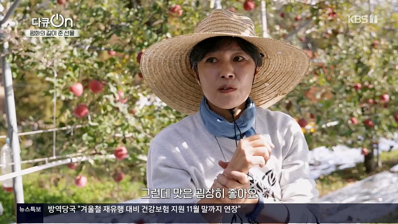 다큐 On.E172.221119p.H264

-F1RST.mp4_20221122_201827.944.jpg