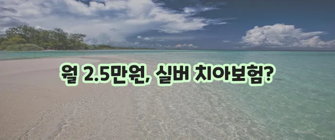 라이나 실버전용 치아보험, 월 2만 5천 원부터 가입 가능