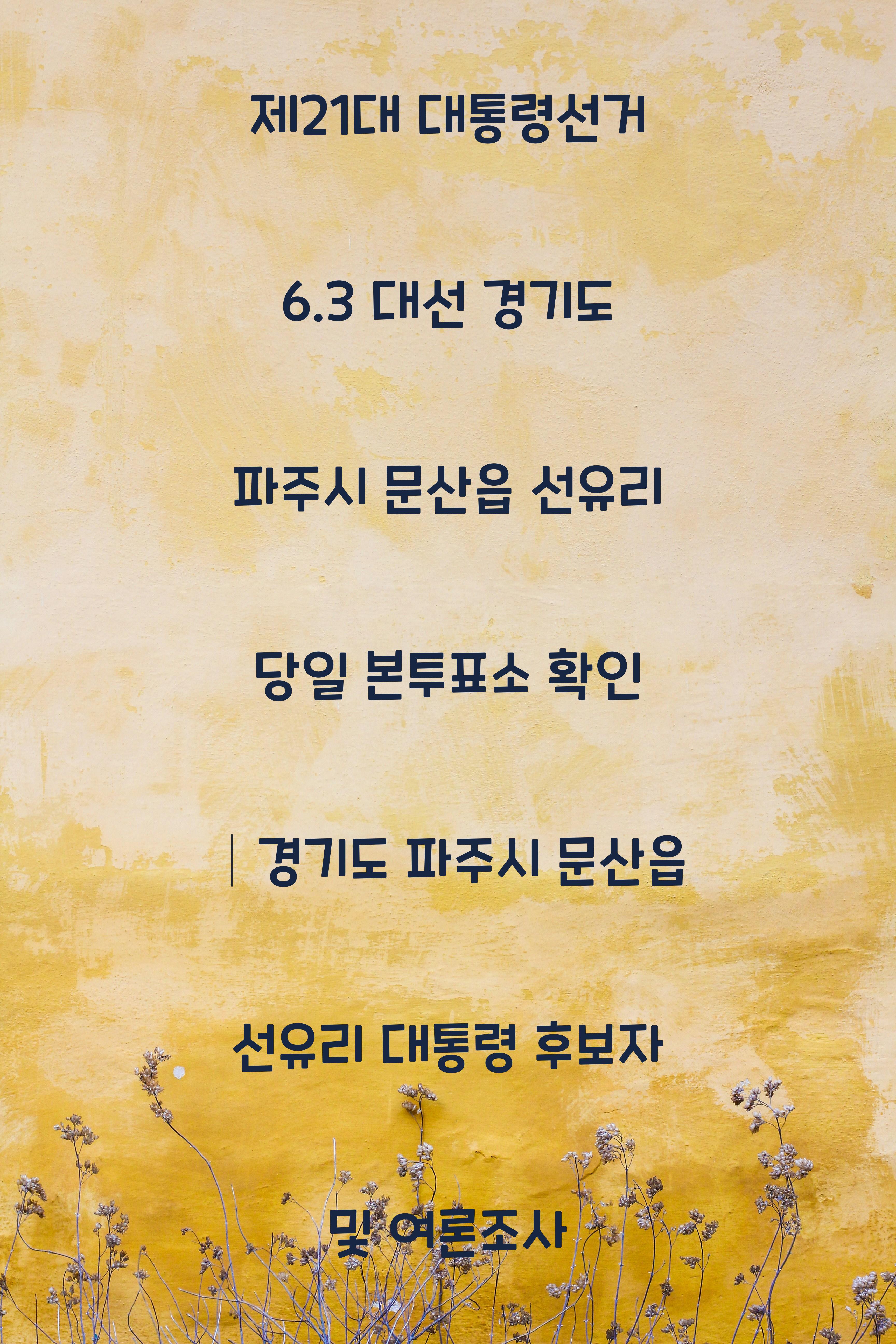 제21대 대통령선거 6.3 대선 경기도 파주시 문산읍 선유리 당일 본투표소 안내 │경기도 파주시 문산읍 선유리 대통령 후보자 및 여론조사 확인