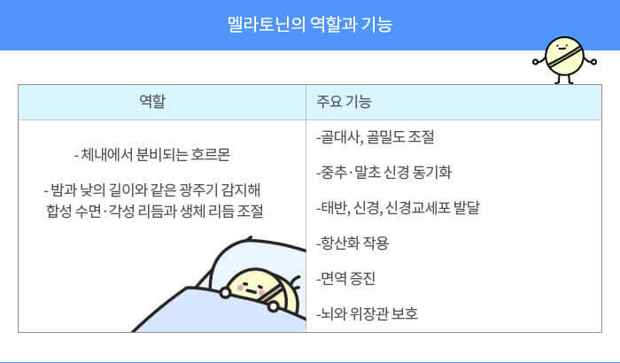 멜라토닌 효과