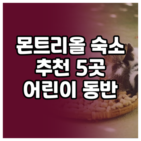 몬레알레 숙소 추천 5곳 체크인 체크