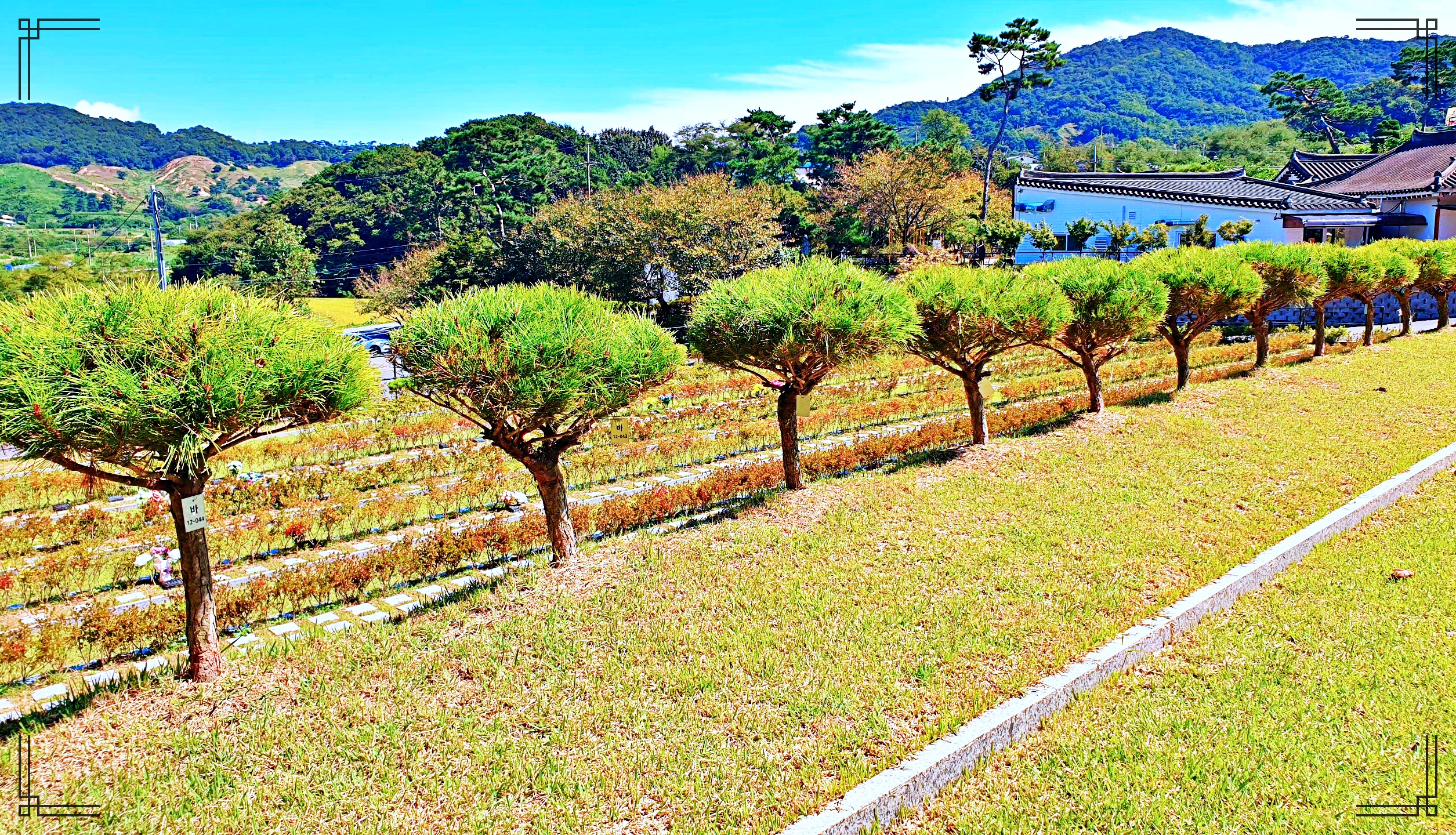 경기도 수원수목장