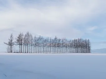 북해도 여행 팁_13