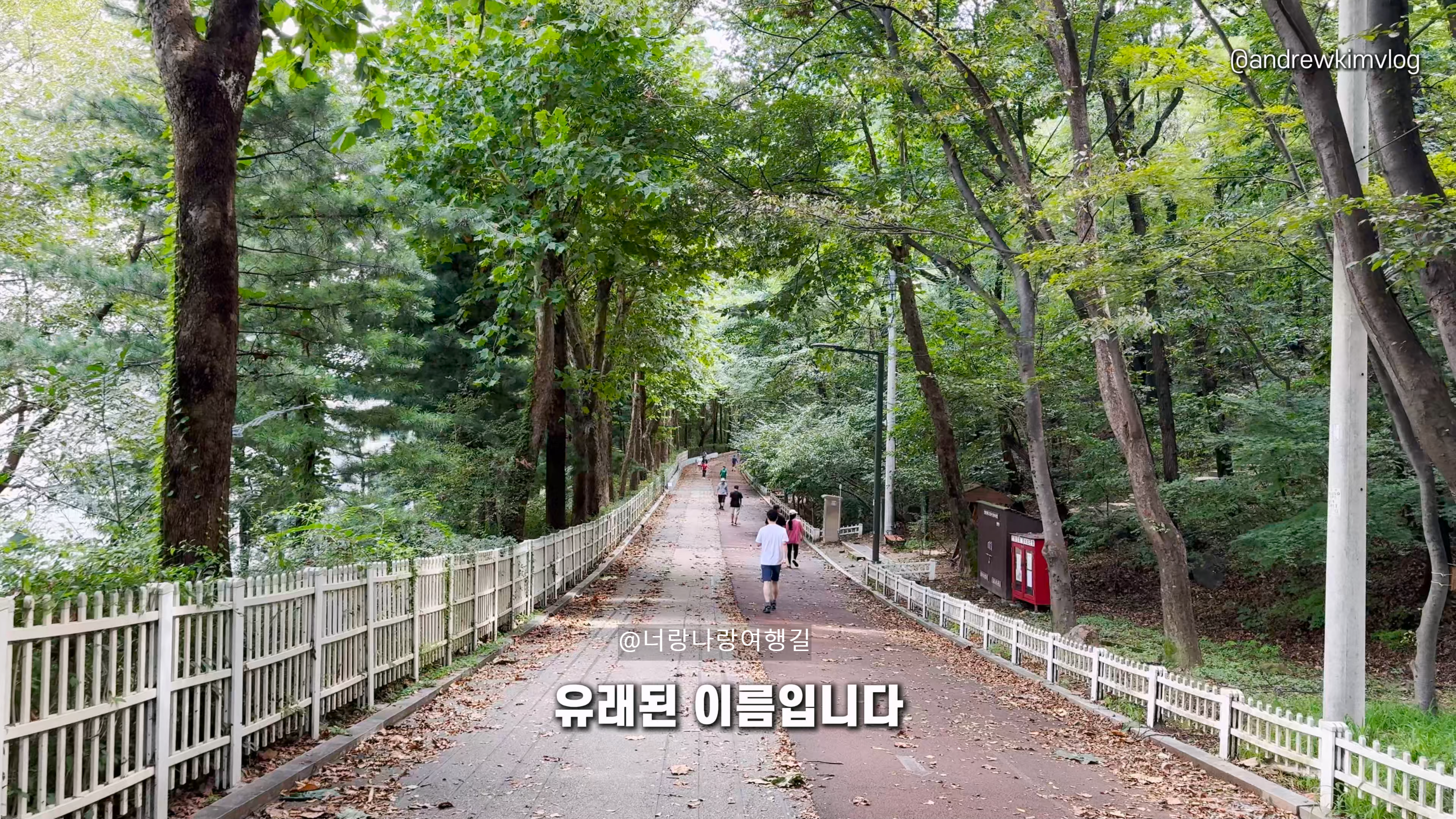 숲속 이미지