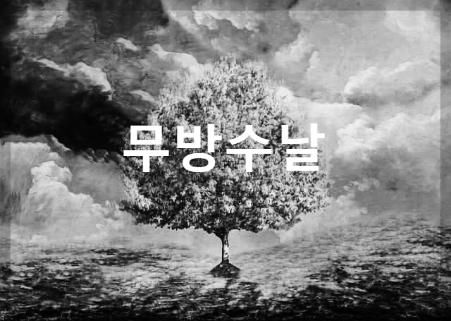  무방수날 : 어떤 일을 해도 해가 없는 날