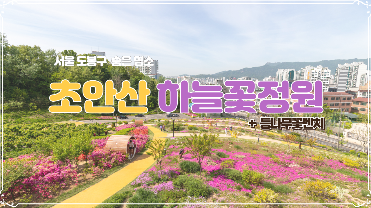  서울 도봉구 숨은 명소 초안산 하늘꽃정원과 등나무꽃 벤치