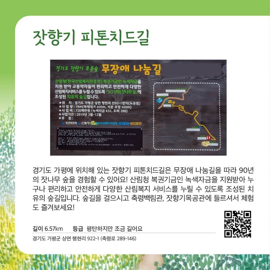 가평 잣향기 푸른숲 피톤치드길