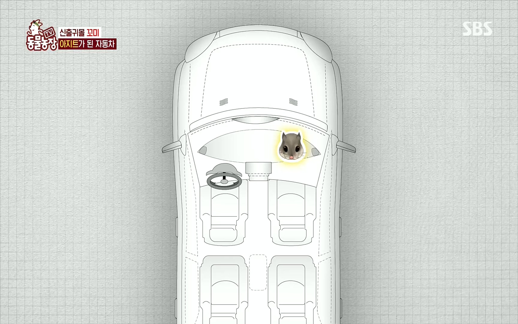 TV 동물농장.E1086.220911p.H264-F1RST.mp4_20220911_175406.982.jpg