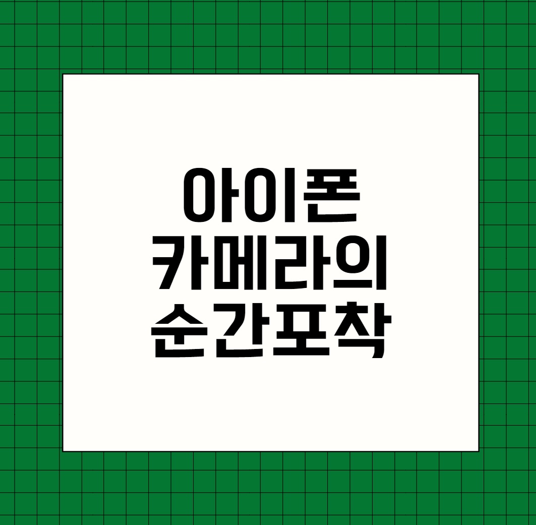 아이폰 카메라의 순간포착