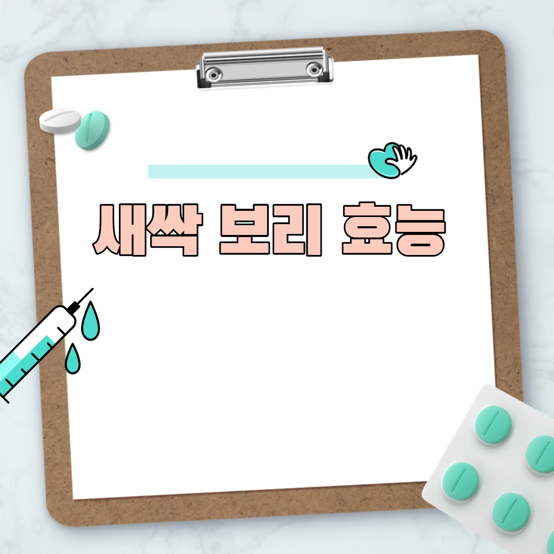  새싹 보리 효능