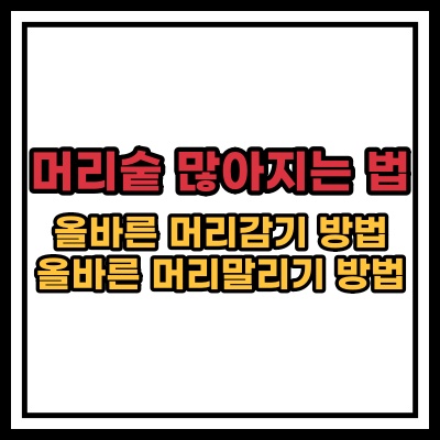  머리숱 많아지는 법 (머리 감기)