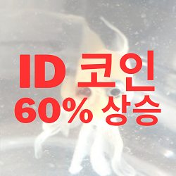 ID코인
