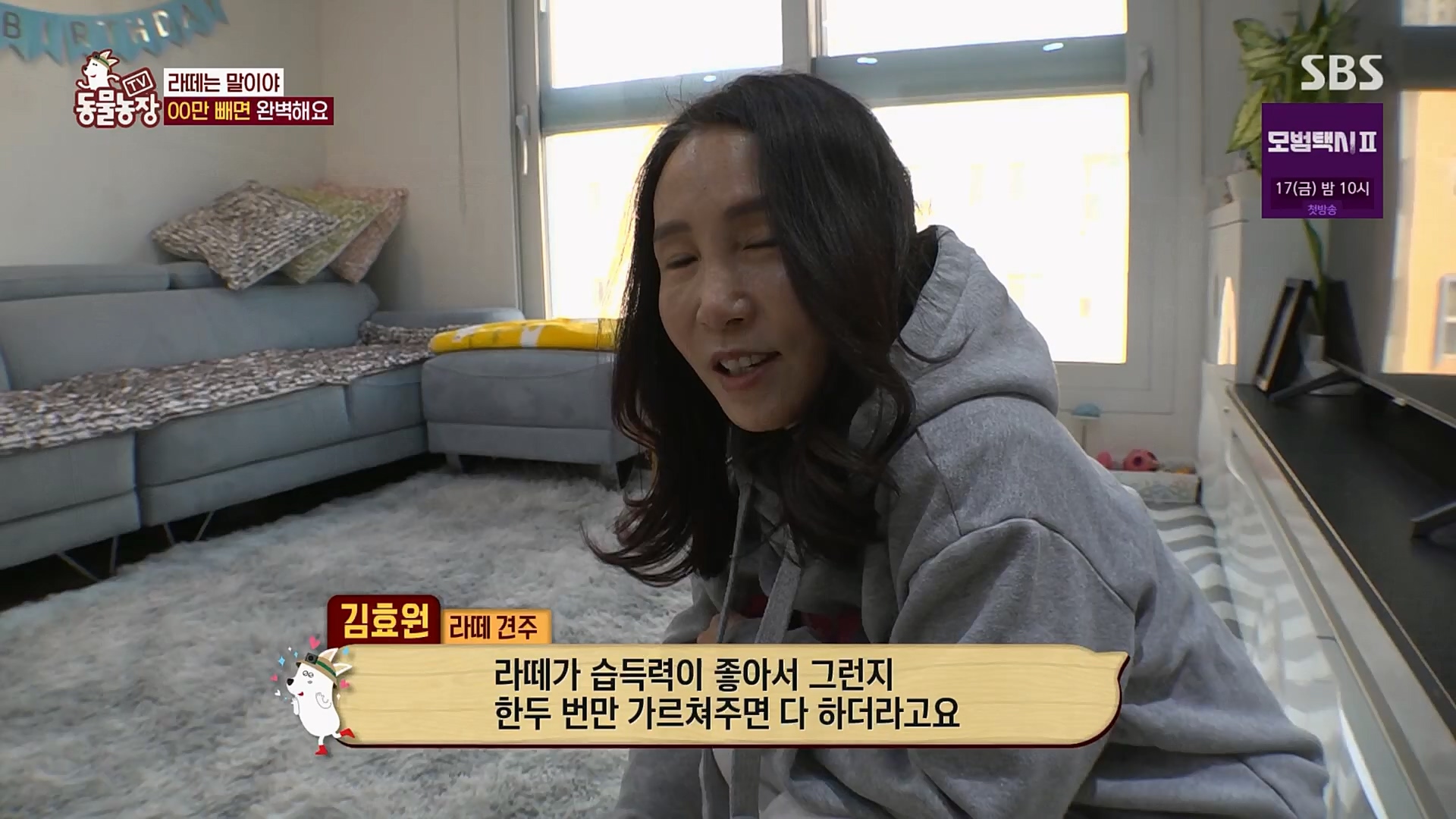TV 동물농장.E1107.230205p.H264-F1RST.mp4_20230205_173929.838.jpg