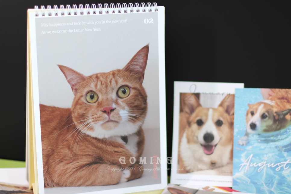 백호랑이 주문, 이웃집의 죽도록 사랑해!!!! 15