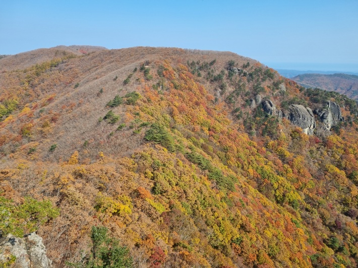 가메봉에서 바라 존 단풍