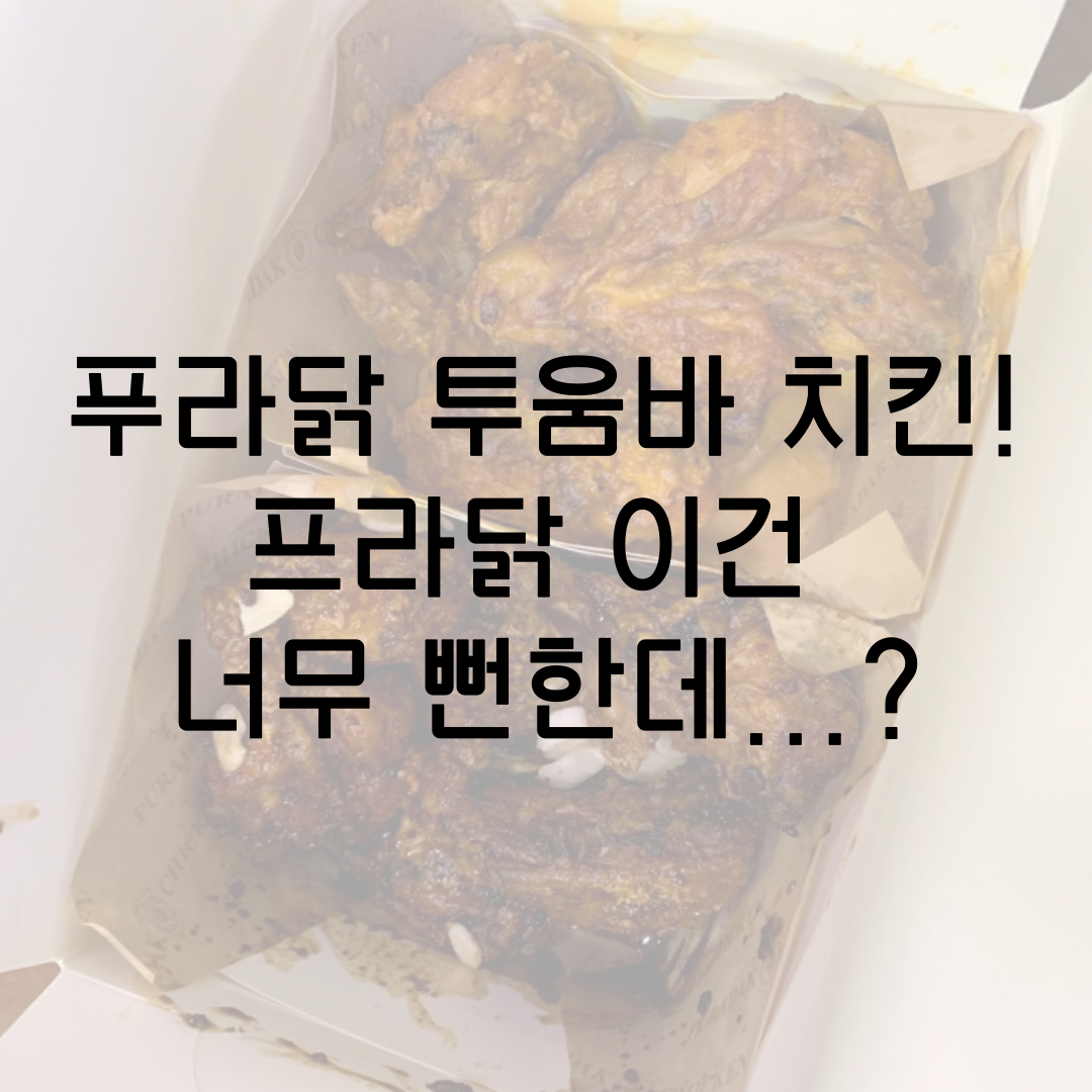 투움바 치킨 치뷰