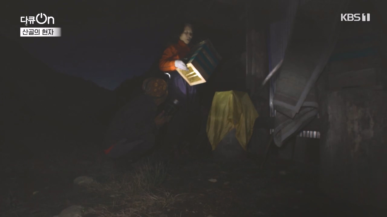 다큐 온.E245.240414p-NEXT.mp4_20240414_142435.794.jpg