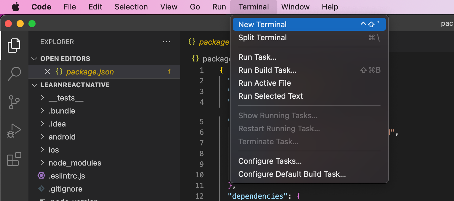 Terminal > New Terminal