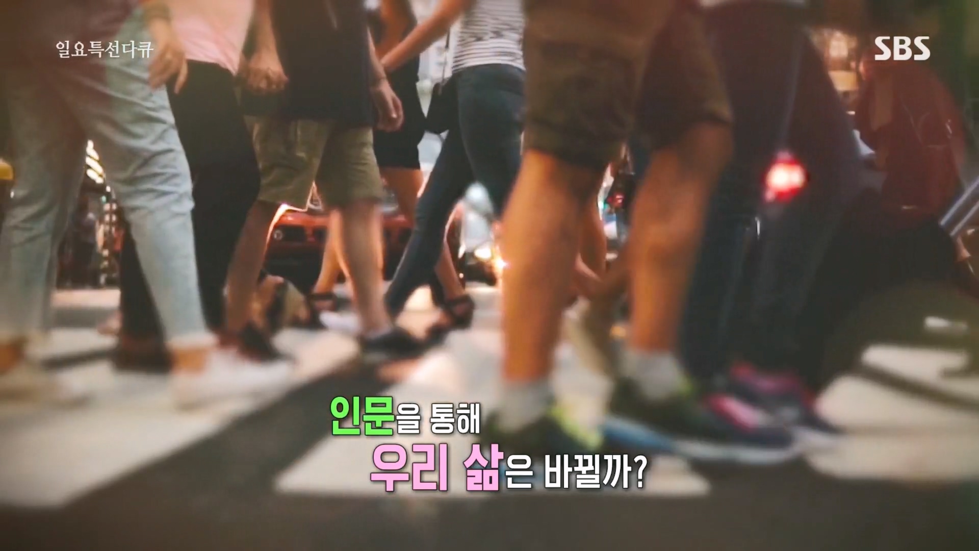 일요 특선 다큐멘터리.E340.240225p.H264-F1RST.mp4_20240225_145937.928.jpg