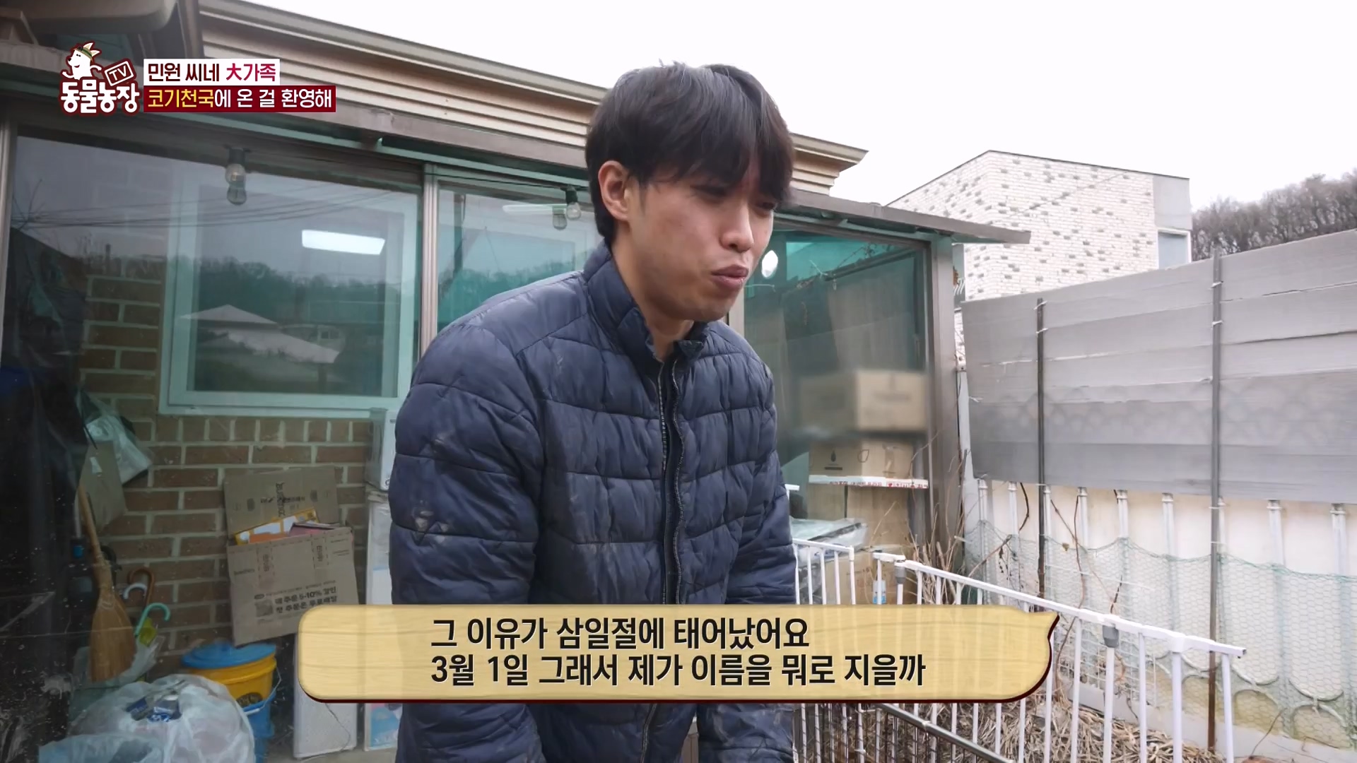 TV 동물농장.E1161.240303p-NEXT.mp4_20240303_172245.542.jpg