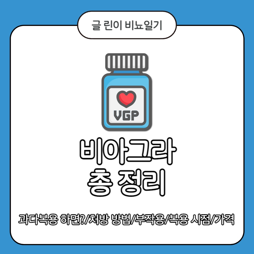 비아그라 총 정리