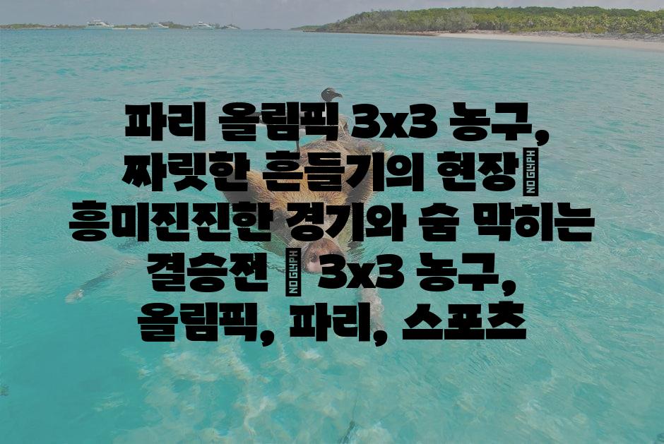 샘플 (1)
