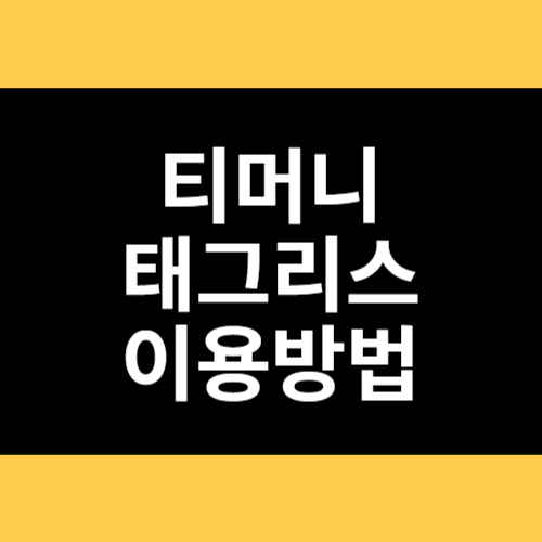 티머니 태그리스 이용방법 썸네일