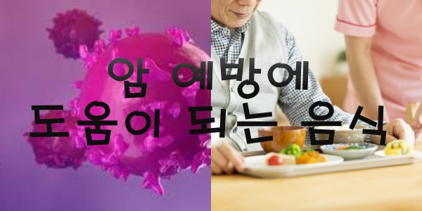 암예방에 도움이 되는 음식