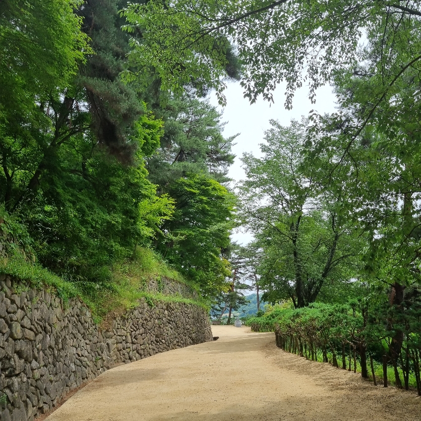 도산서원 가는길