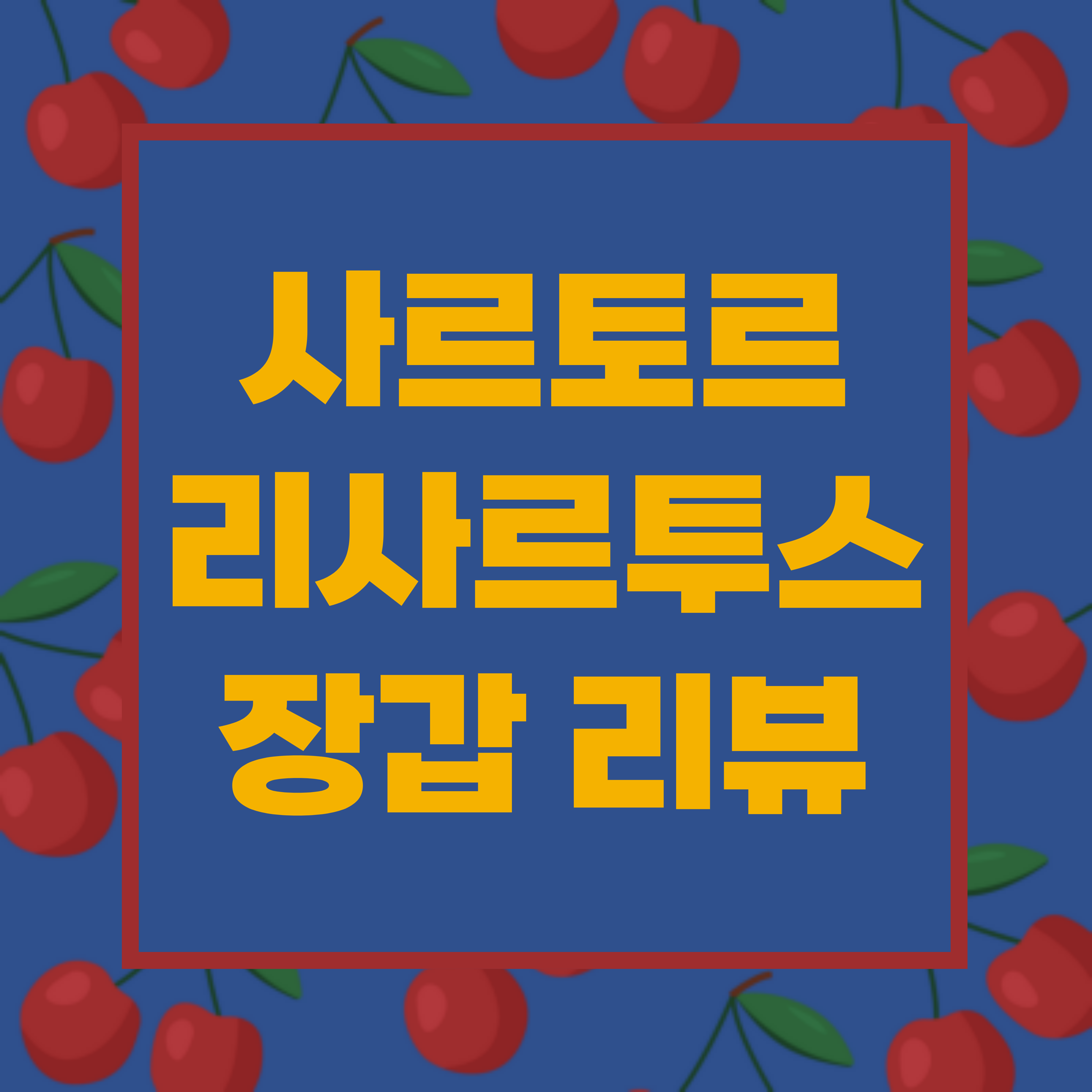  남자 가죽장갑 사르토르 리사르투스 램바튼 리뷰