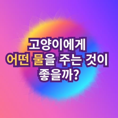 고양이에게 어떤 물을 주는 것이 좋을까?