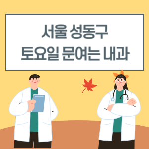 서울 성동구 토요일 내과 진료 병원 리스트