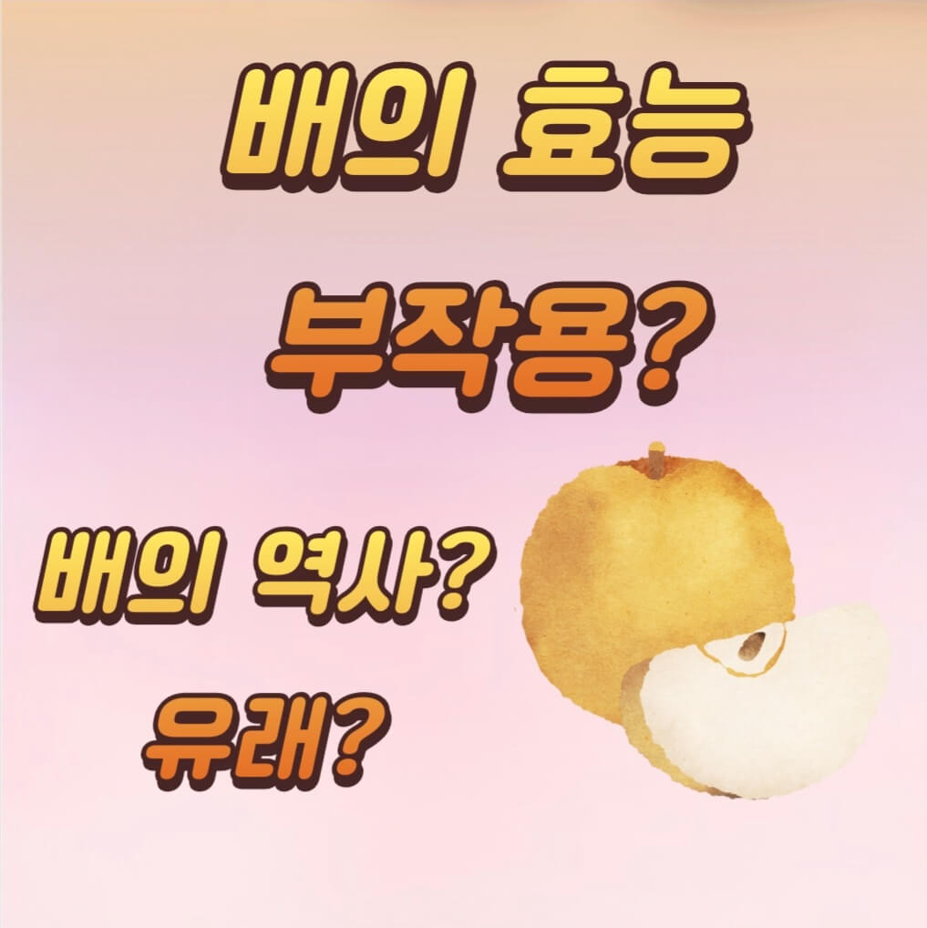 배의 효능 부작용??