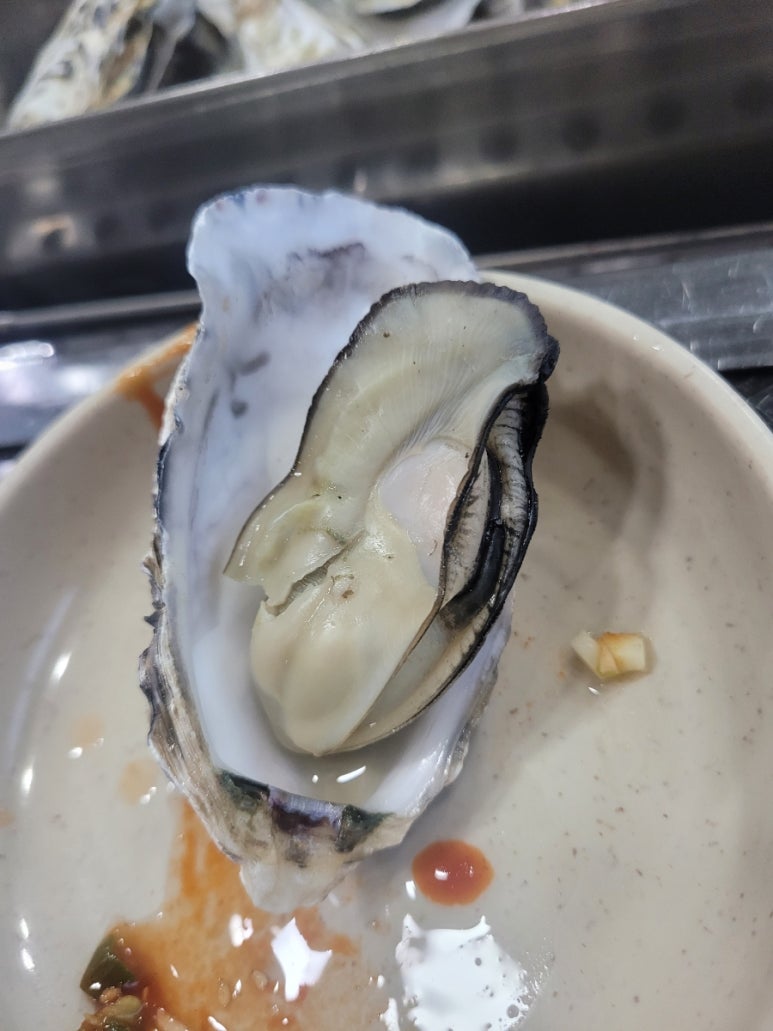 굴사냥 이미지