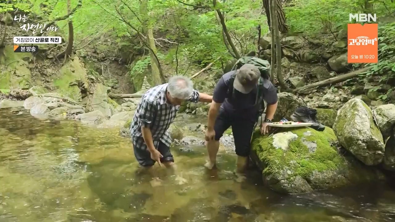 나는 자연인이다.E564.230727p-NEXT.mp4_20230727_211922.217.jpg