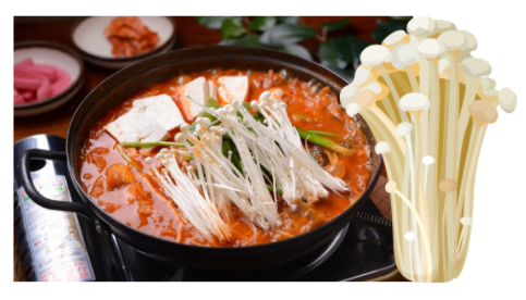  팽이버섯 효능 부작용 총정리