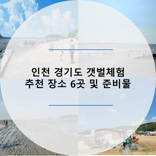  인천 경기도 갯벌체험 추천 장소 6곳 및 준비물