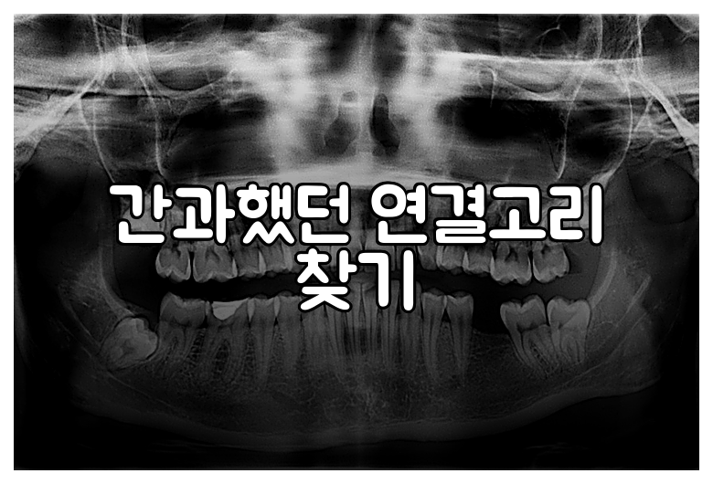 간과했던 연결고리 찾기
