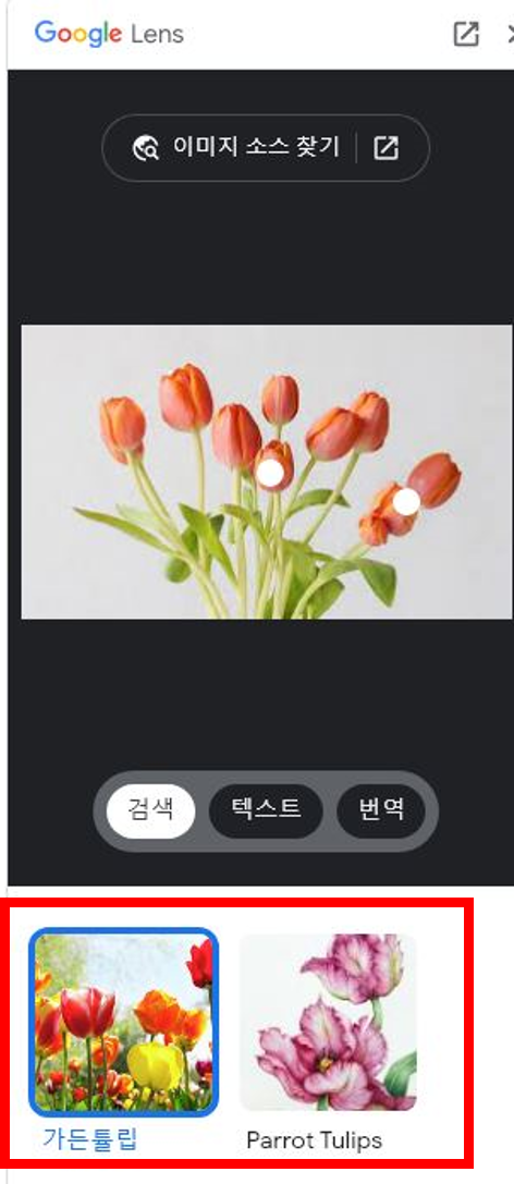 구글-렌즈-이미지-검색-결과