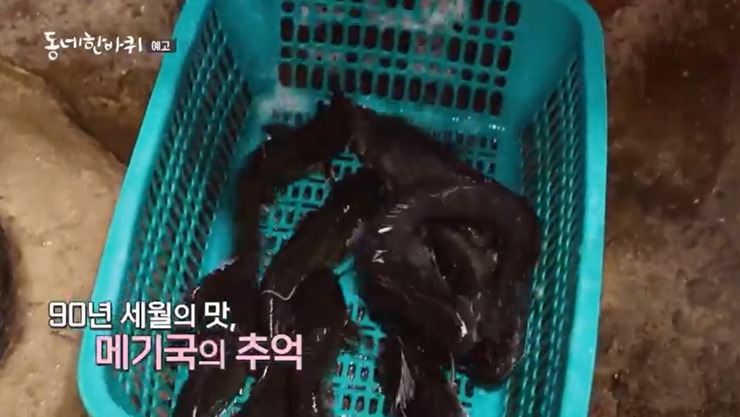 통안에-있는-메기