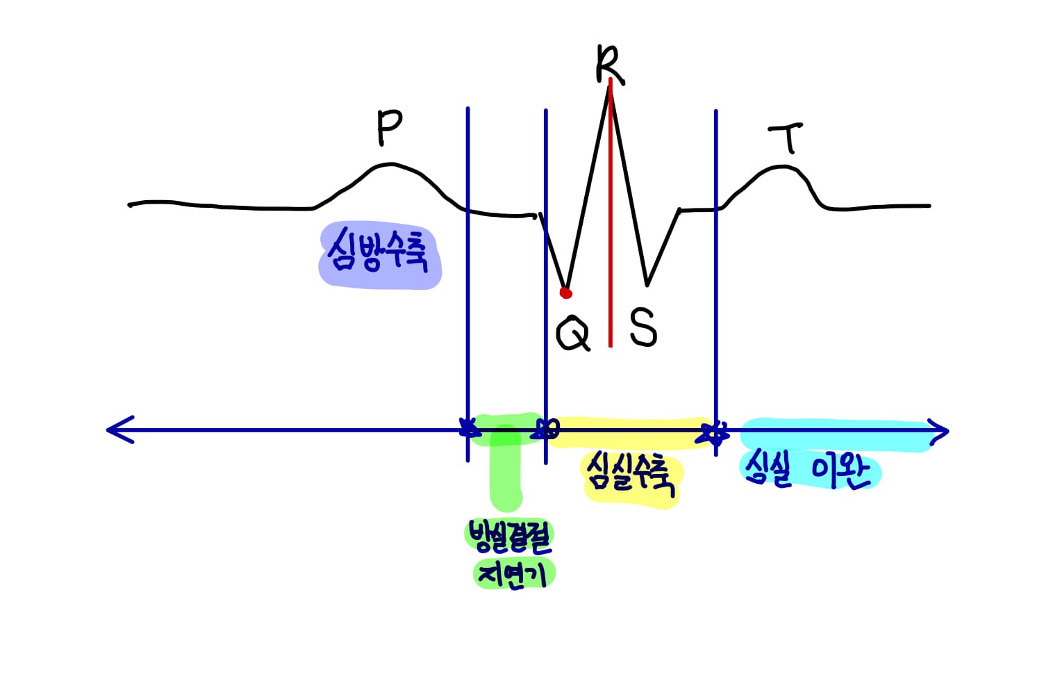  사람의 심장 3 - ECG/압력부피 그래프 
