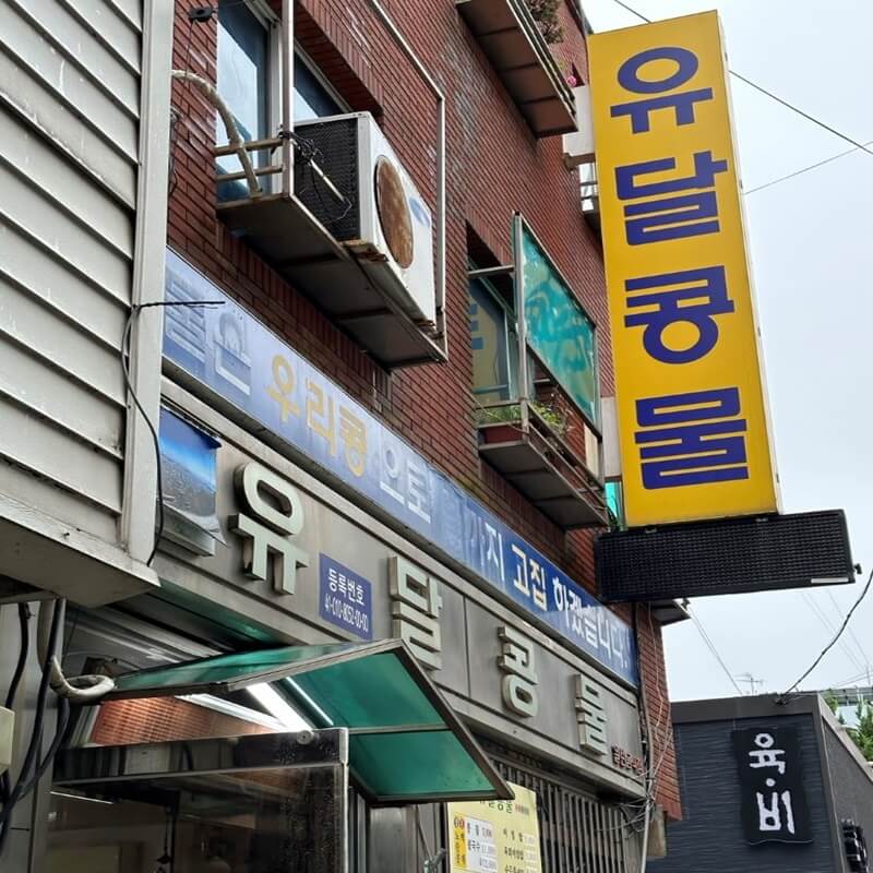  일상생활정보 국내 여행 목포 현지인 추천 유달콩물 콩국수 맛집 콩국물 육회 비빕밥