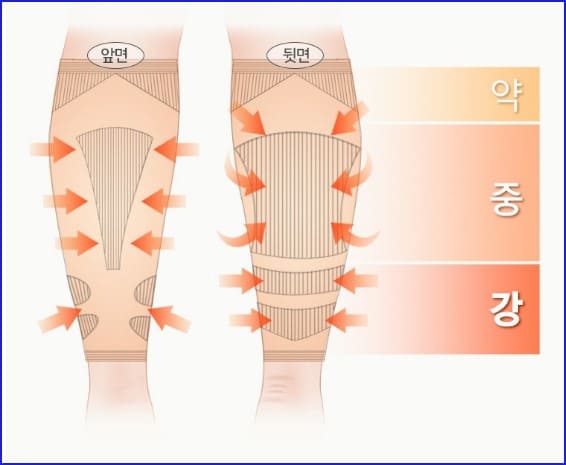 압박 스타킹의 작용