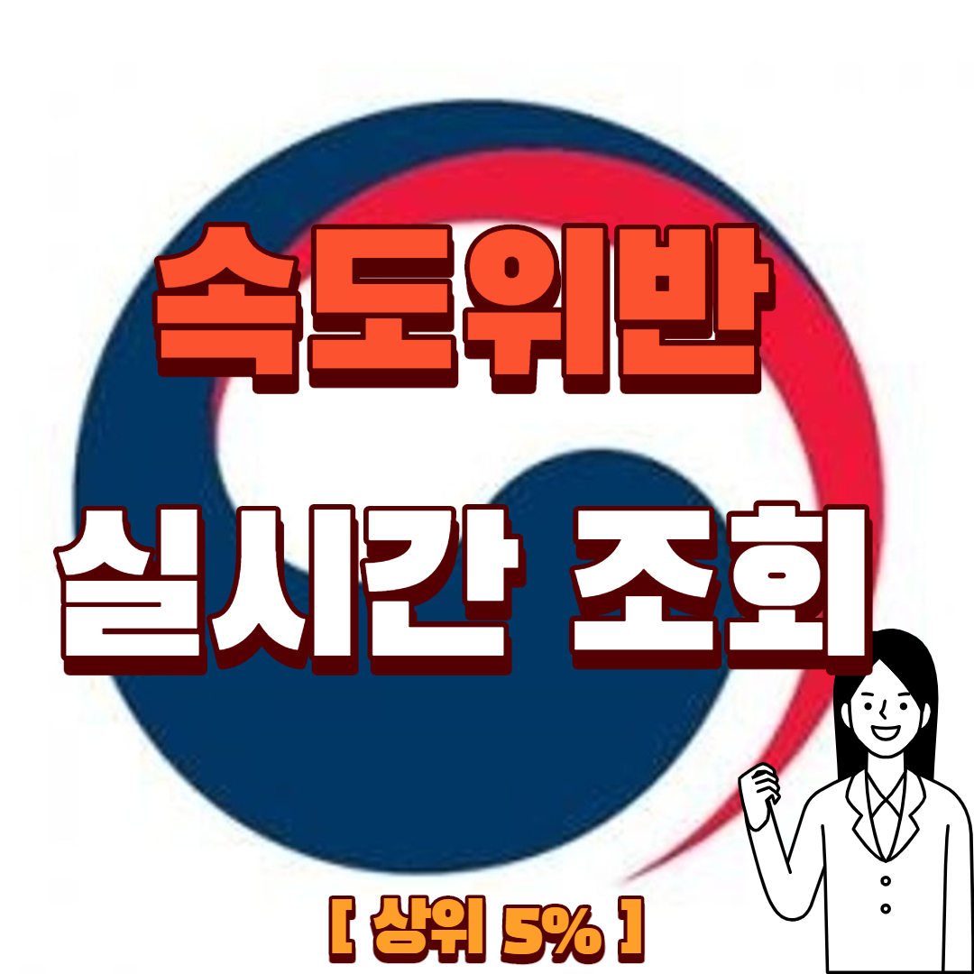  속도위반 실시간 조회