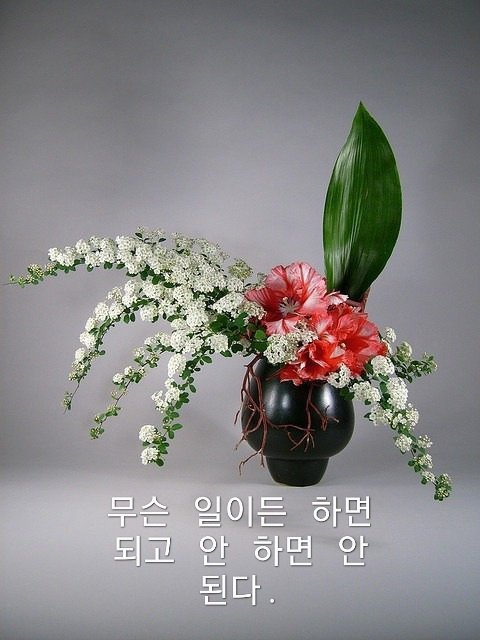 마음을 먹다 이미지