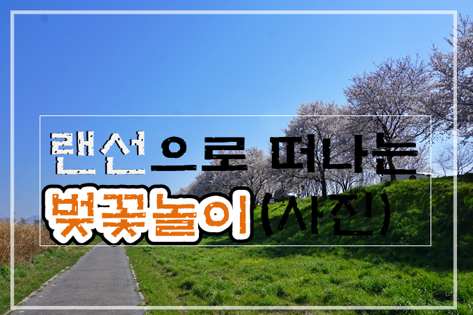  벚꽃 사진으로 달래본 랜선 벚꽃놀이